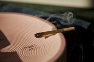 cigar